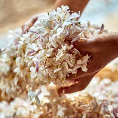 J'Adore – фото 10