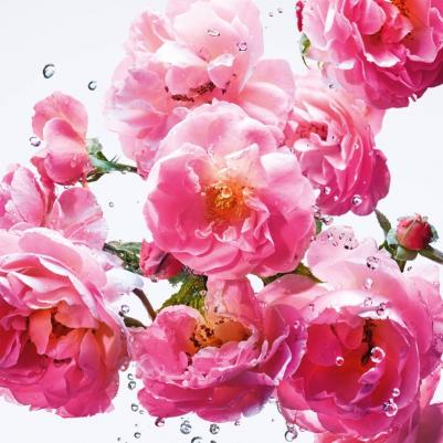 Miss Dior – фото 4