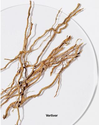 Aromatics Elixir – фото 4