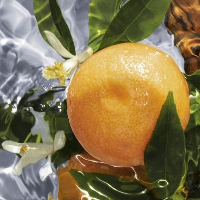 Aqua Allegoria Pamplelune – фото 9