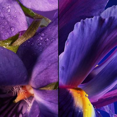 Insolence – фото 19