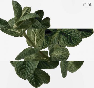 Eau d'Orange Verte – фото 12