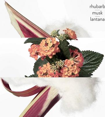 Eau de Rhubarbe Ecarlate – фото 7