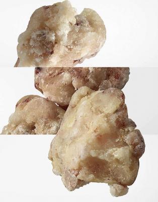 Eau des Merveilles – фото 12