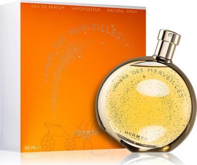 L'Ambre des Merveilles – фото 12