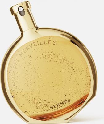 L'Ambre des Merveilles – фото 17