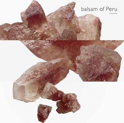 L'Ambre des Merveilles – фото 20