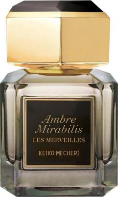 Amber Mirabilis – фото 2
