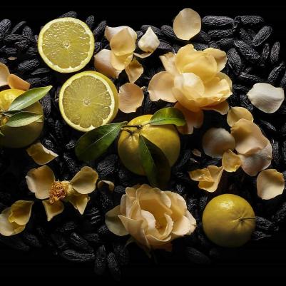 Woman in Gold – фото 7