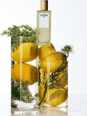 Aire Loewe – фото 18