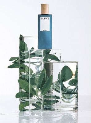 Loewe 7 – фото 3