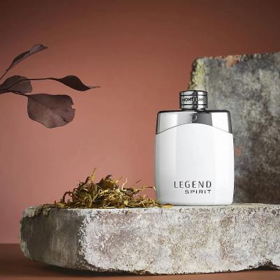 Legend Spirit – фото 8