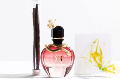 Pure XS – фото 20