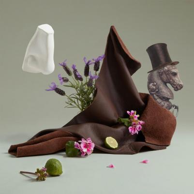 Endymion Concentre – фото 2