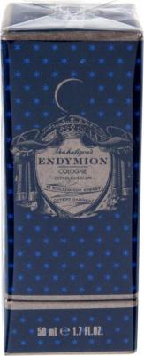 Endymion – фото 10