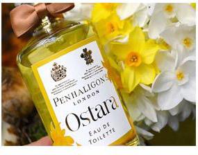 Ostara – фото 1