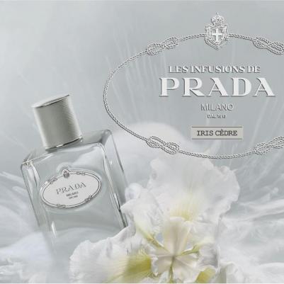 Infusion d'Iris Cedre – фото 12