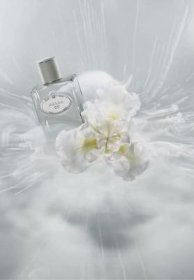 Infusion d'Iris Cedre – фото 18