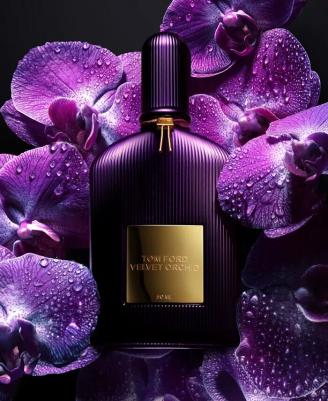 Velvet Orchid – фото 4