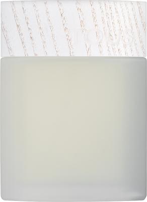 Tous Man Les Colognes Concentrees