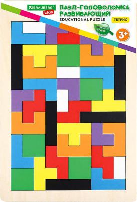 Головоломка развивающая деревянная "Тетрис", цветной, 18 х 27 см