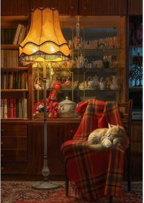 Пазл Вечерний уют, 1000 элементов – фото 1