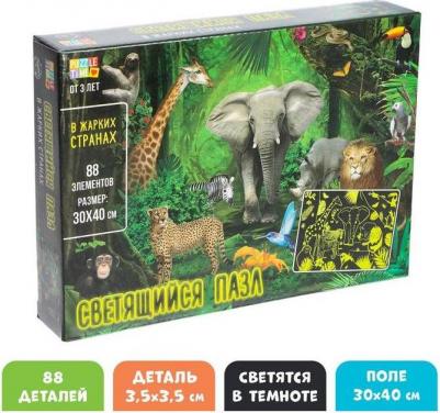 Пазл В жарких странах 88эл 5664461