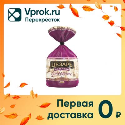 Пельмени Отборные 700г – фото 1