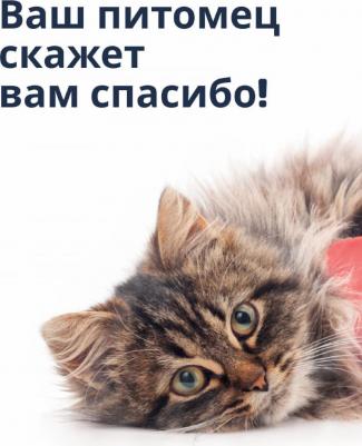 переноска Gateway с металлической дверцей, черная (№2) – фото 8