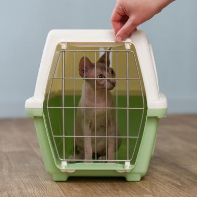 Переноска для кошек и собак Визион, 48x32x33 см, зеленый – фото 1