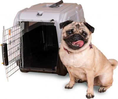 Переноска для животных SKUDO 3 60х41х40h см с металлической дверцей с замком серая – фото 9