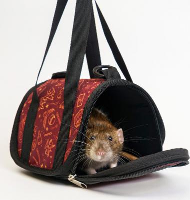 Сумка-переноска для грызунов, 17х12х12 см – фото 2