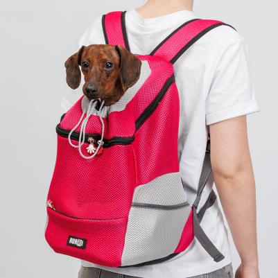 Рюкзак для переноски кошек и собак мелких пород, 34х43х24 см