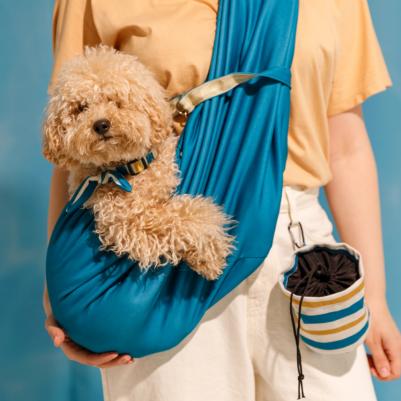 Слинг двусторонний для переноски собак и кошек мелких пород, с застежкой для ошейника Аквамарин – фото 5