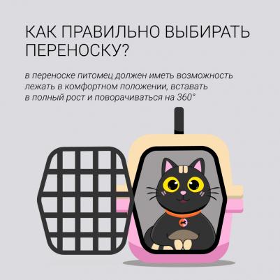 Сумка для кошек и собак мелкого размера, 44х25х27 см, синяя 4680368131149 – фото 2