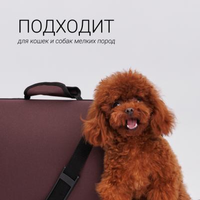 Сумка-переноска для кошек и собак мелких пород Хард, L, 46х27х28 см, коричневая – фото 15