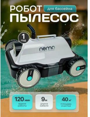 N10