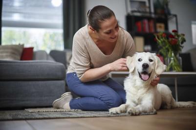 FC 9734 – фото 1