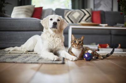 FC 9734 – фото 16