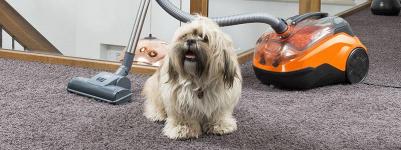 Cycloon Hybrid Family & Pets (786552) – фото 13