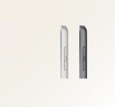 iPad (2021) 10.2" 256Gb, Space Gray (9th Gen) – фото 7