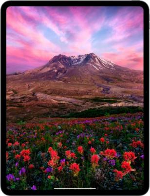 iPad Pro (2024) 13" 1Tb, Silver (7th Gen) Nano-texture glass – фото 12
