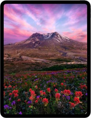 iPad Pro (2025) 11" 256Gb, Space Black (M5) – фото 15