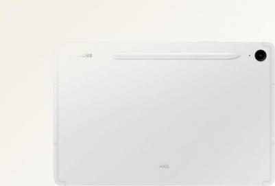 Galaxy Tab S9 FE 10.9" 6/128Gb, Silver – фото 11