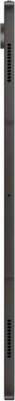 Galaxy Tab S9 Ultra 14.6" 16/1Tb, Graphite – фото 17