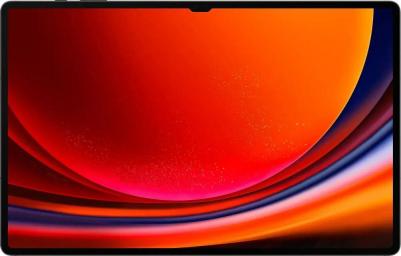Galaxy Tab S9 Ultra 14.6" 16/1Tb, Graphite – фото 20