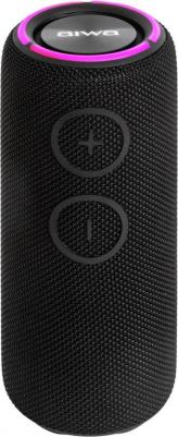 PAS-H200 – фото 1