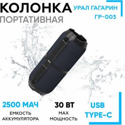 Гагарин ГР-003 – фото 2
