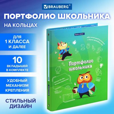 Папка-портфолио школьника, A4, 4 кольца, 20 файлов, 10 вкладышей, мальчик – фото 4