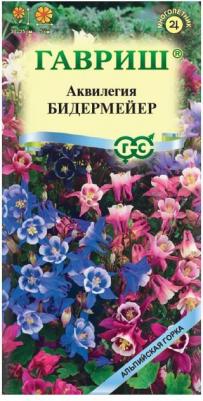 Аквилегия Бидермайер – фото 3